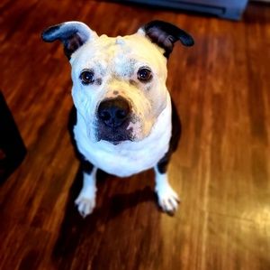 Meet your Posher, Breanne